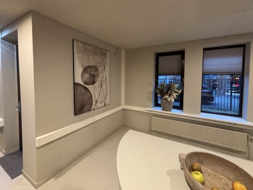 Schilder & behangwerk Abin accountants Moderne woonkamer met kunstwerk aan de muur, vensters en een fruitschaal op tafel.